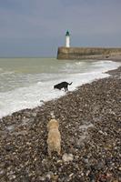 Cjp_2010_04_14_133335 (2).jpg